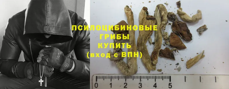 Псилоцибиновые грибы Magic Shrooms  Валуйки 