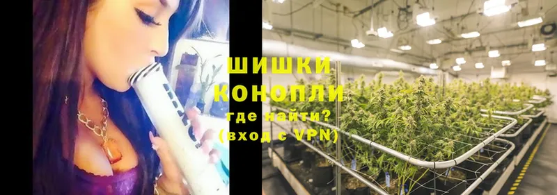 Каннабис Ganja  Валуйки 